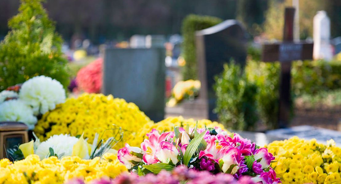 flori-plante-pentru-cimitir