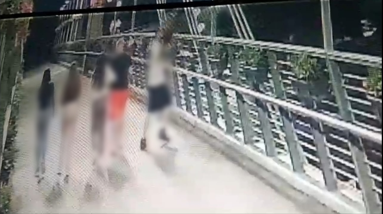 jardiniere
440 kB jardiniere