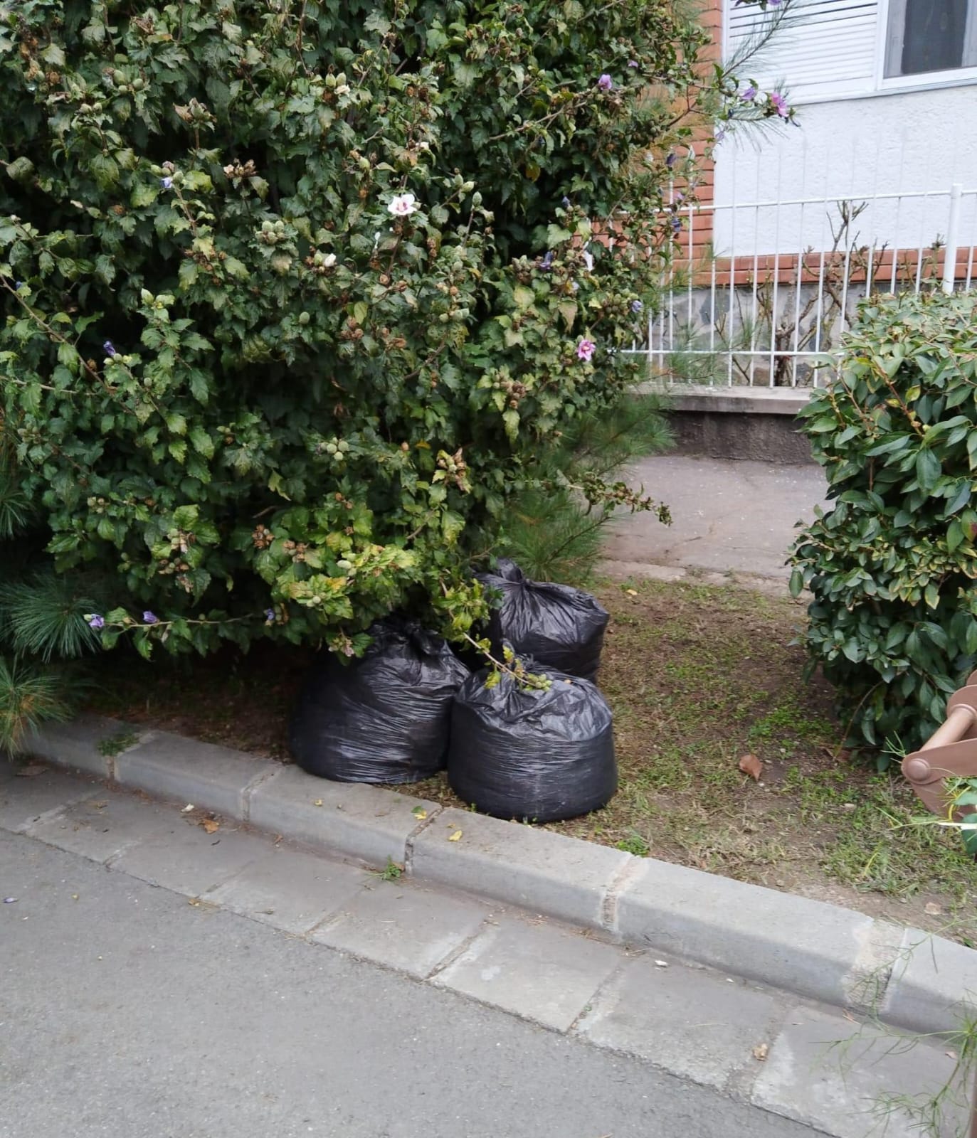 WhatsApp Image 2024-10-15 at 10.38.19 (1)